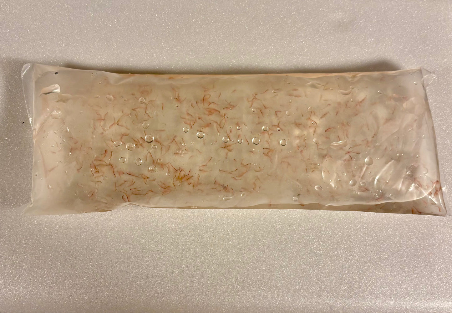 Live artemia (brine shrimp) 180ml size bag