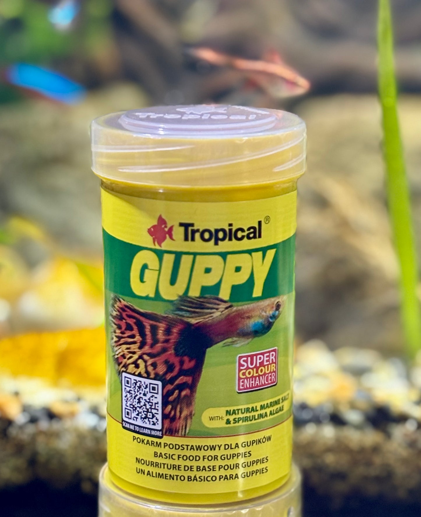 Tropical guppy 20g