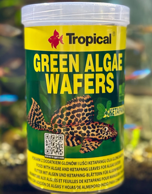 Tropical Green Algae Wafers 450g