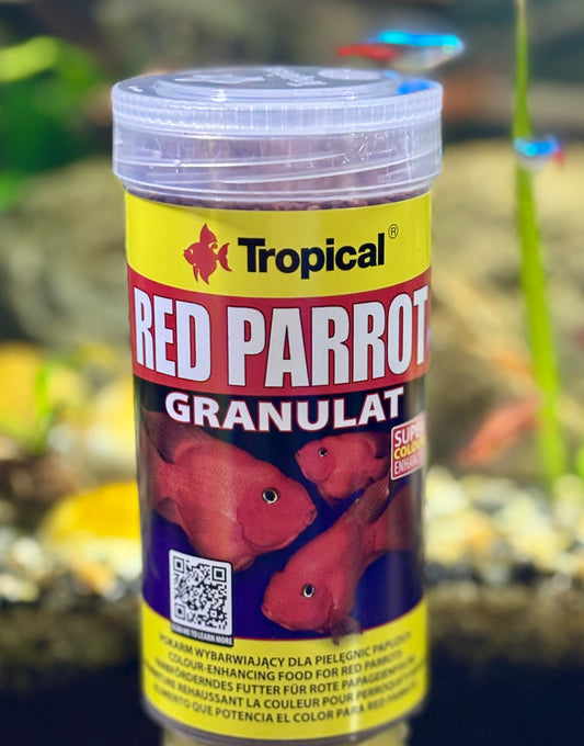 Tropical Red Parrot 100g