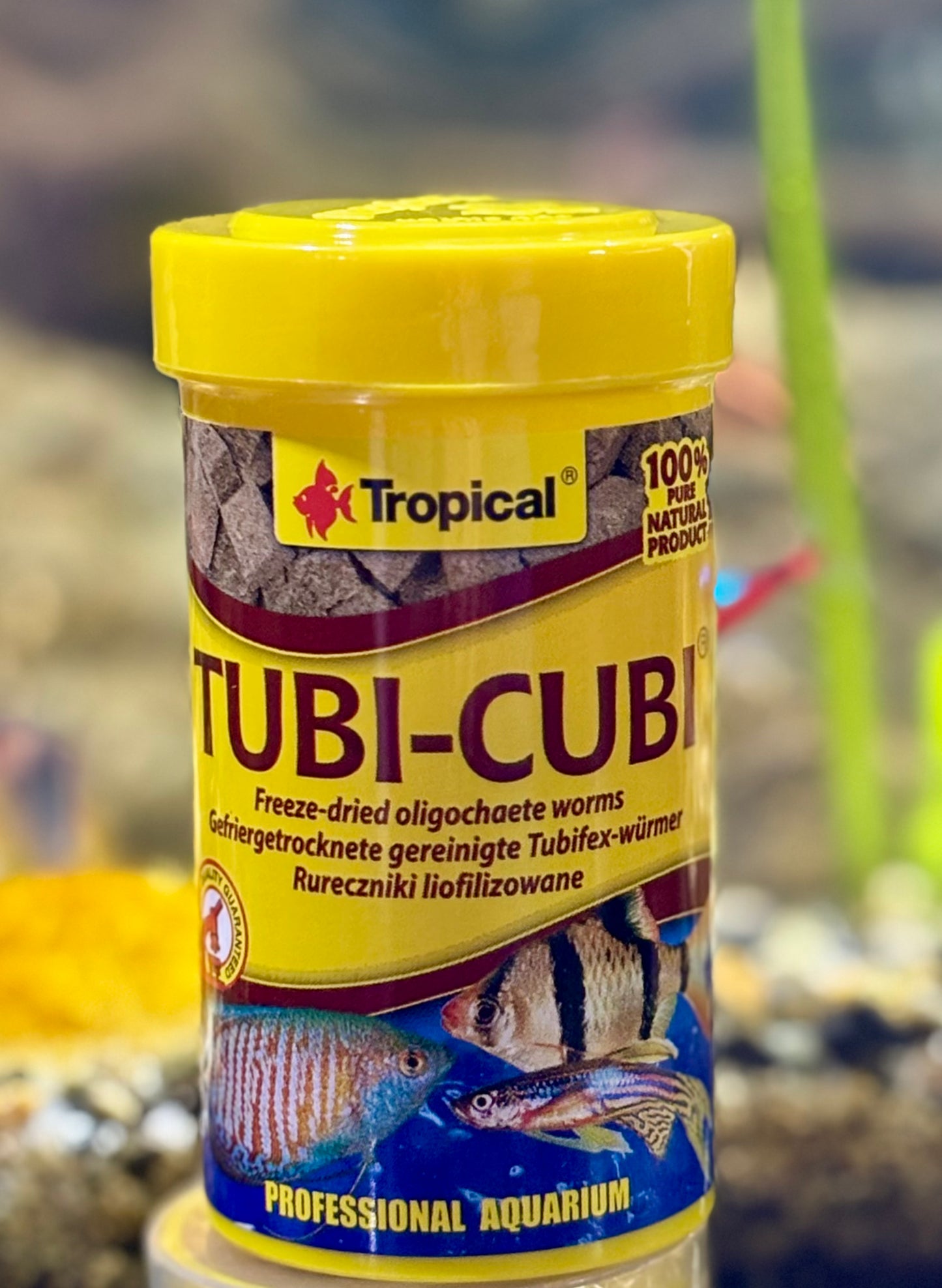 Tropical Tubi-Cubi 10g